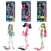 Monster High Swim Dolls Case